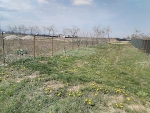 Vând teren - imagine 3