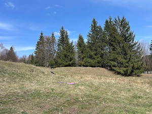 Teren de vanzare, Valea Stanii- Buzoianu, Cheia - imagine 4