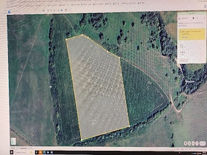 Vand teren agricol  in Hațeg 