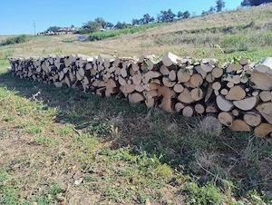 Vand lemne de foc esenta tare carpen si stejar  - imagine 2