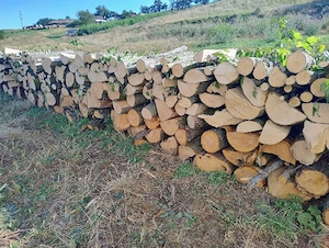 Vand lemne de foc esenta tare carpen si stejar  - imagine 3