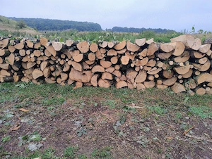 Vand lemne de foc esenta tare carpen si stejar 