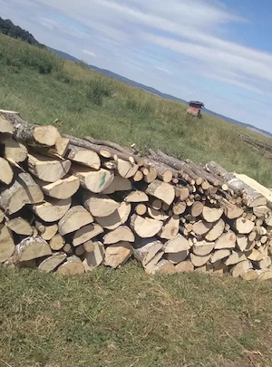 Vand lemne de foc esenta tare carpen si stejar  - imagine 4