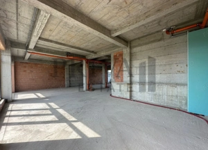 Spatiu comercial, 210 mp, locuri de parcare, Giroc - imagine 9