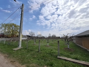 Teren Intravilan 2000 mp - Livadă de meri, Răucești - imagine 3