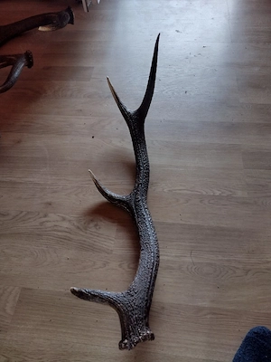 vand CORN  4 raze .90cm