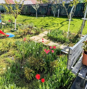 Vănd teren cu casă - imagine 5