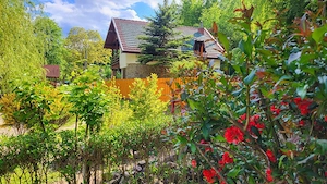 Vând casă de vacanță de - imagine 2