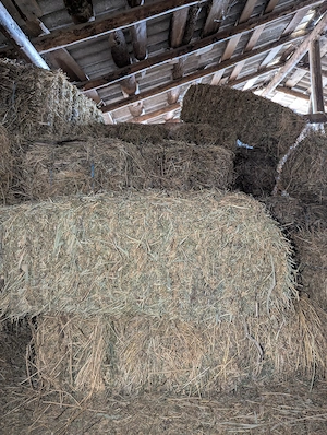 Vand baloti lucerna Com Milcovul