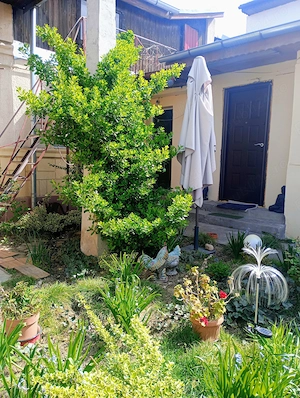 Proprietar vând Casă la Curte  - imagine 8