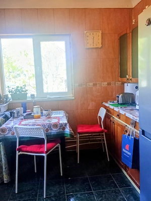 Proprietar vând Casă la Curte  - imagine 10