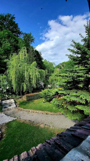 Vând casă de vacanță de - imagine 7