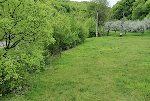 Vanzare teren Slanic Moldova - imagine 8