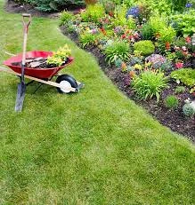 Ajutor Gospodărie Arad   Grădinărit, Tăiat Iarbă, Cumpărături și Diverse