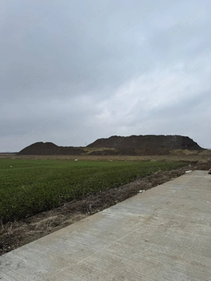 Teren intravilan Calea Sagului – 10.000 mp - imagine 2