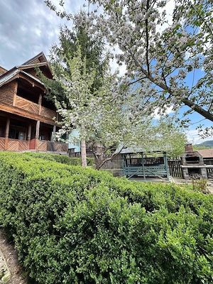 Cabană de vanzare la Lunca Bradului.