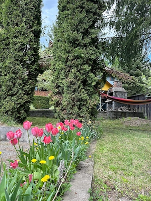 Cabană de vanzare la Lunca Bradului. - imagine 8