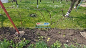 Casa cu teren 800 mp., la pret de apartament, Catamarasti Deal! - imagine 17