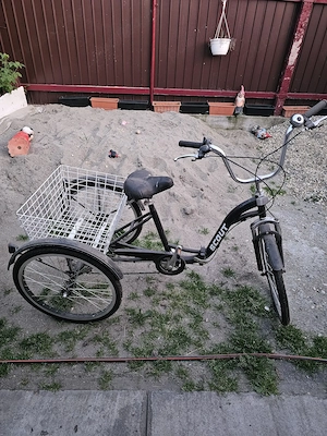 bicicleta seniori