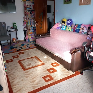 Apartament cu 2 camere de vanzare pe strada Careiului vizavi cu Nepi Shopping Plaza. - imagine 6