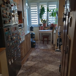 Apartament cu 2 camere de vanzare pe strada Careiului vizavi cu Nepi Shopping Plaza.