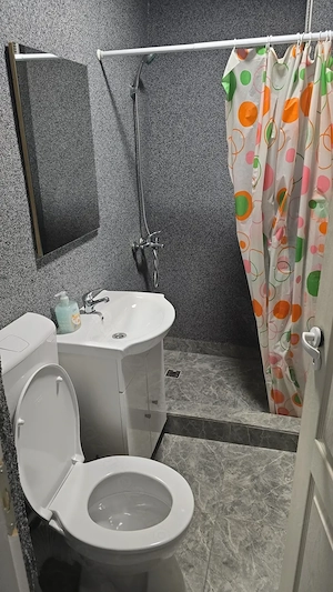 Cazare regim hotelier Deva - imagine 3