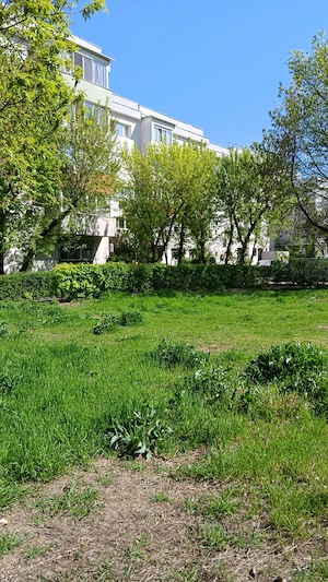 Herastrau - Aviatiei - str. Smaranda Braiescu, teren 1155 mp - imagine 2