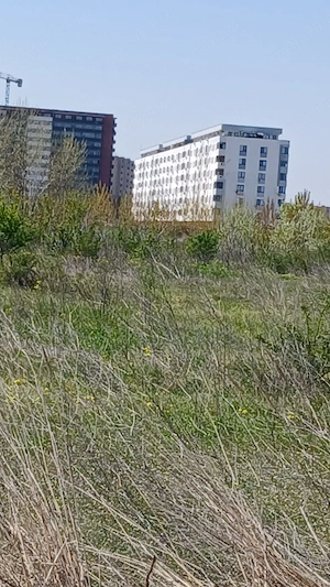 Policolor -Drum Gura Solcii, teren 6100 mp - imagine 3