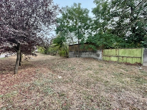 Casa de vanzare comuna voiteg jud timis - imagine 5