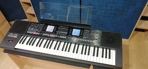 Vand orga aranjor clapa Roland E-A7