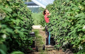 Locuri de munca Spania. Plecarii URGENTE 