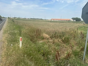 Vând teren intravilan Maldaeni 2000 m - imagine 7