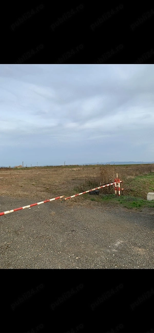 teren intravilan 3,6 ha odoreu iesire  - imagine 4