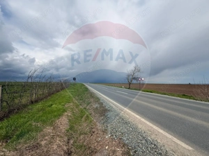 Teren extravilan Săcele ideal pentru silozuri, fermă sau investiție - imagine 2