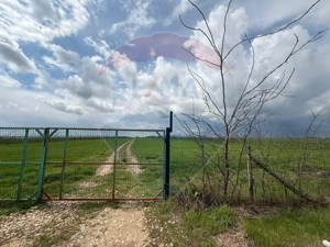 Teren extravilan Săcele ideal pentru silozuri, fermă sau investiție - imagine 6