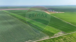 Teren extravilan Săcele ideal pentru silozuri, fermă sau investiție - imagine 8