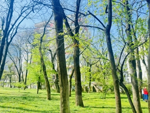 Inchiriez apartament str. Barbu Stefanescu Delavrancea Kiseleff - imagine 18