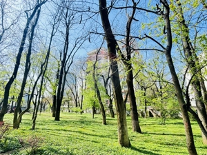 Inchiriez apartament str. Barbu Stefanescu Delavrancea Kiseleff - imagine 16