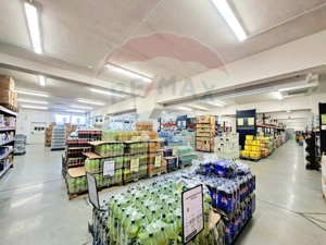 Hala industriala 1271 mp de închiriat- str Câmpul Liniștii -zona Uta - imagine 20