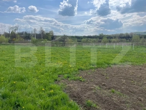 Teren intravilan, 10 ari, sat Domnesti