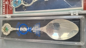 Lingurite Coelctie USA si Australia - imagine 4