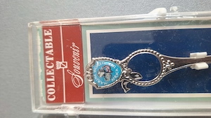 Lingurite Coelctie USA si Australia - imagine 2