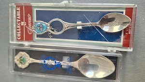 Lingurite Coelctie USA si Australia - imagine 5