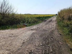 Săcălaz , cartier Europa | Teren intravilan 700mp | Potențial dezvoltare - imagine 2