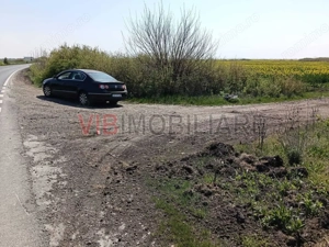 Săcălaz , cartier Europa | Teren intravilan 700mp | Potențial dezvoltare - imagine 3