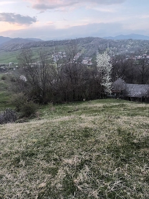 vînd teren     gradină comuna Izvoarele - imagine 7