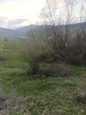 vînd teren     gradină comuna Izvoarele - imagine 4
