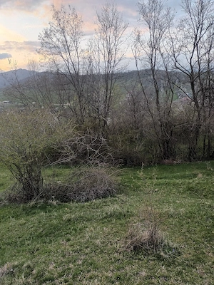 vînd teren     gradină comuna Izvoarele - imagine 9