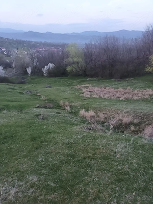 vînd teren     gradină comuna Izvoarele - imagine 3