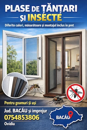 Plase insecte